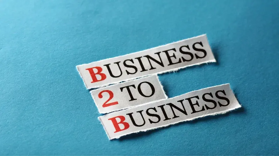 What is a B2B Supplier?