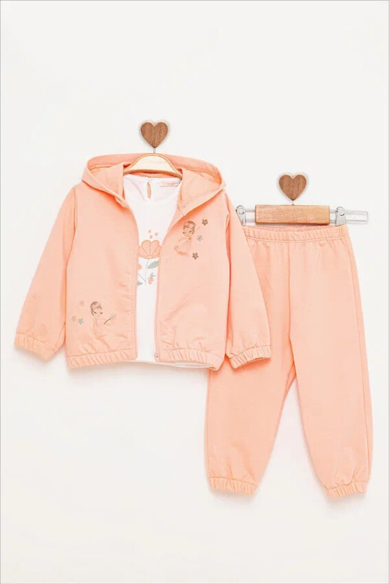 Baby Girl Ballerina Embroidered Tracksuit 9-24M BabyRose 1002-7811 - BabyRose