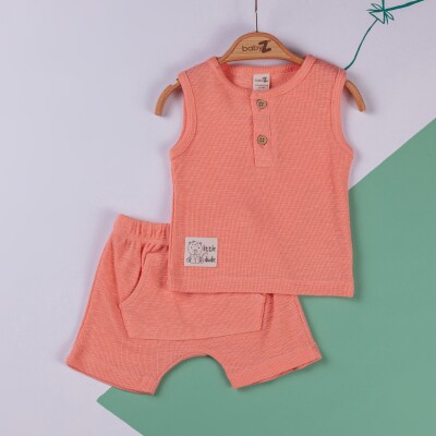 Wholesale 2-Piece Baby Boys T-shirt and Shorts Set 6-18M BabyZ 1097-4719 Киноварь