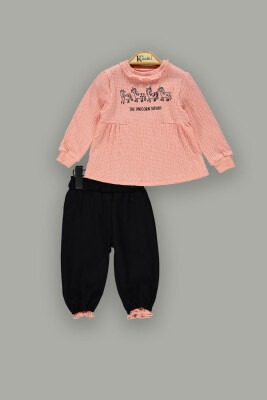 Wholesale 2-Piece Baby Girls Blouse and Pants 9-18M Kumru Bebe 1075-3942 Лососевый цвет
