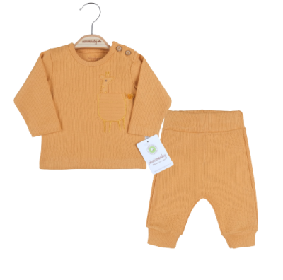 Wholesale 2-Piece Baby Sweat and Pants Set 0-9M Ciccimbaby 1043-4782 - 1