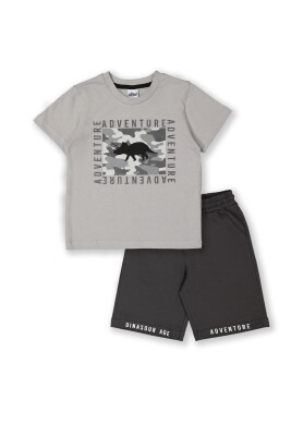 Wholesale 2-Piece Boys Shorts Set with T-shirt 3-6Y Elnino 1025-22111 Серый 