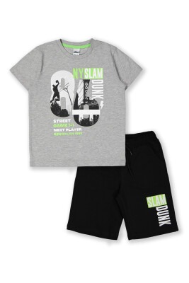 Wholesale 2-Piece Boys Shorts Set with T-shirt 8-14Y Elnino 1025-22158 Серый 