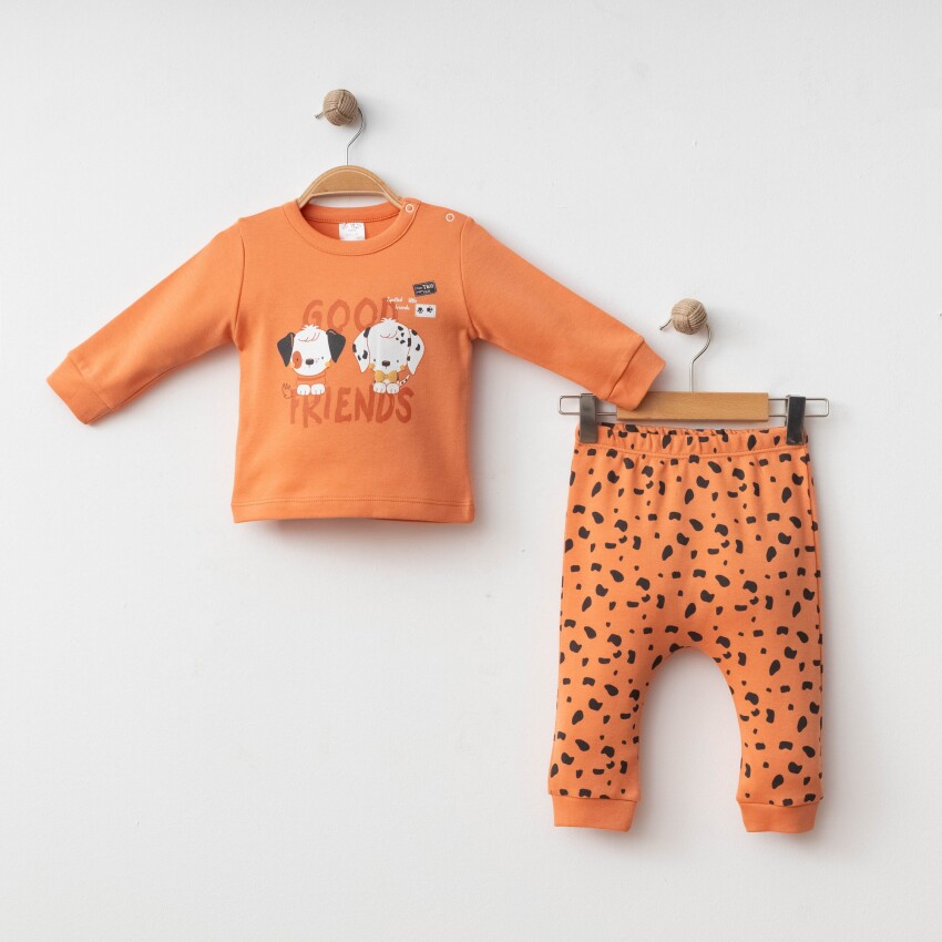 Wholesale Baby Boy 2-piece Badi and Pants Set 3-12M Gümüş Baby 2043-2100 - 3