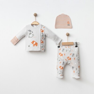 Wholesale Baby Boy 3-Piece Newborn Set 0-3M Gümüş Baby 2043-005002 Черепичный цвет