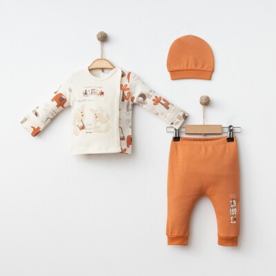 Wholesale Baby Boy 3-Pieces Newborn Set 0-3M Gümüş Baby 2043-005000 Черепичный цвет