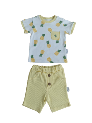 Wholesale Baby Boys 2-Piece T-shirt and Shorts set 3-12M Tomuycuk 1074-75567 - Tomuycuk (1)