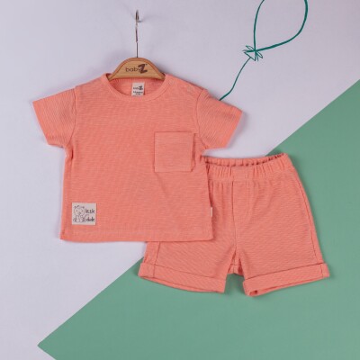 Wholesale Baby Boys 2-Piece T-shirt and Shorts set 6-18M BabyZ 1097-4698 - 2