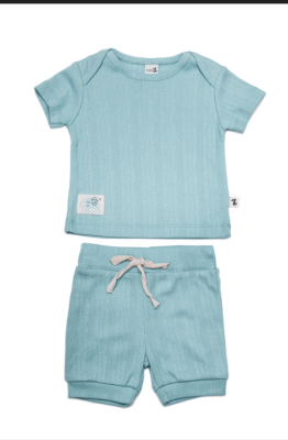 Wholesale Baby Boys 2-Piece T-shirt and Shorts set 6-18M BabyZ 1097-4721 - BabyZ (1)