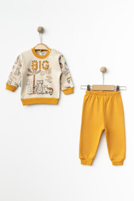 Wholesale Baby Boys 2-Piece Tracksuit Set 3-9M Hoppidik 2017-2337 - Hoppidik