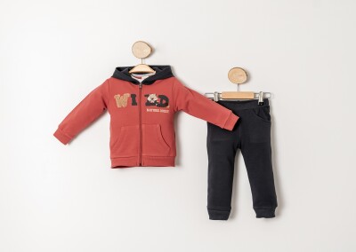 Wholesale Baby Boys 3-Piece Tracksuit Set 9-24M Sani 1068-10026 Черепичный цвет