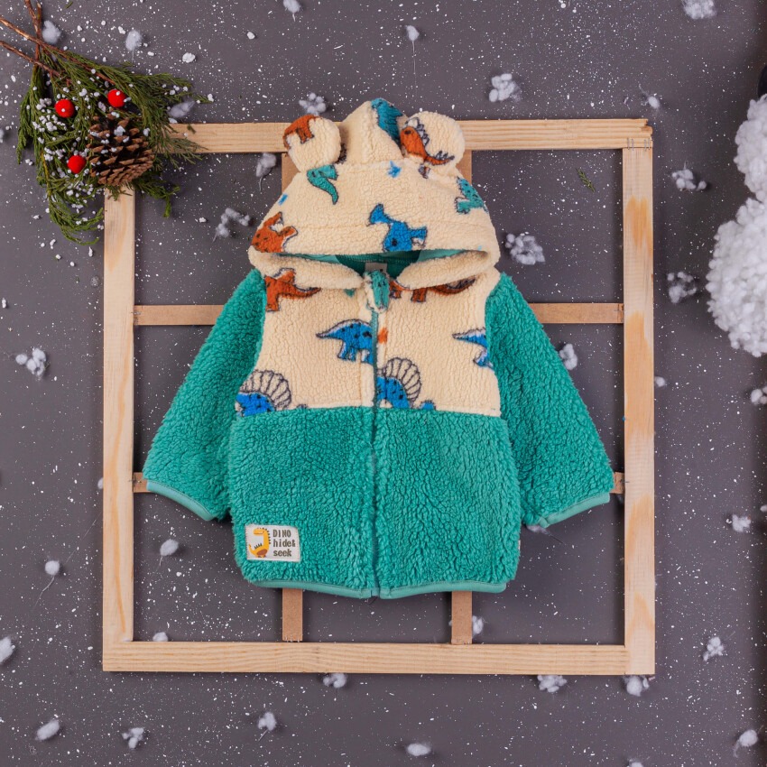 Wholesale Baby Boys Cardigan With Hoodie 6-24M BabyZ 1097-4758 - 1