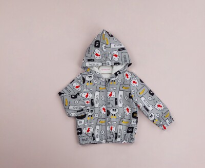Wholesale Baby Boys Patterned Raincoat with Hooded 9-24M BabyRose 1002-8433 Серый 