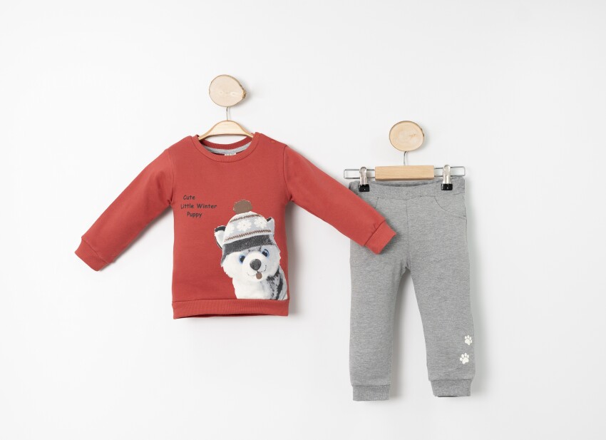 Wholesale Baby Boys' Printed Tracksuit Set 2-Piece 9-24M Sani 1068-10027 - 4