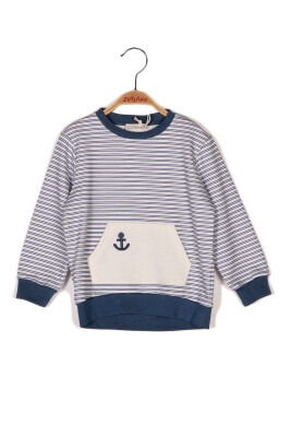 Wholesale Baby Boys Sweatshirt 6-24M Zeyland 1070-231M1SET61 - Zeyland