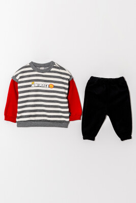 Wholesale Baby Boys Tracksuit Set 6-18M Tuffy 1099-0827 - 3