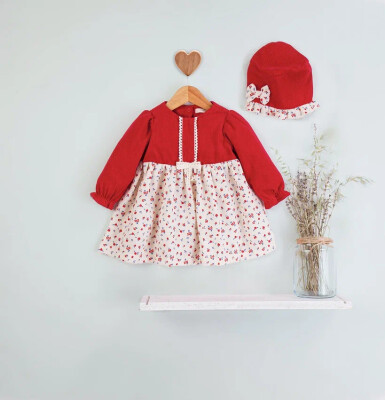 Wholesale Baby Girl 2-piece Velvet Dress and Hat 3-12M BabyRose 1002-4687 - Babyrose