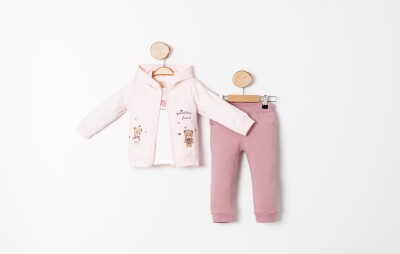 Wholesale Baby Girl 3-Piece Tracksuit 9-24M Sani 1068-10003 Светло- розовый 