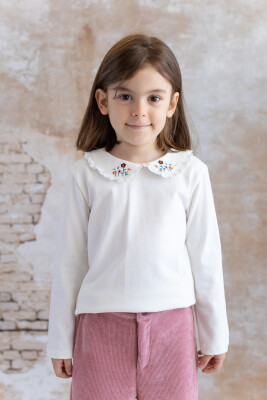 Wholesale Baby Girl Collar Embroidery Detailed Blouse 6-48M Mininio 2062-252M2GNC61 - 1