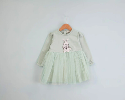 Wholesale Baby Girl Embroidered Dress 9-24M BabyRose 1002-7788 Зелёный 