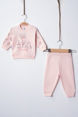 Wholesale Baby Girl Rabbit Pajama Set 3-9M Hoppidik 2017-2391 - Hoppidik (1)