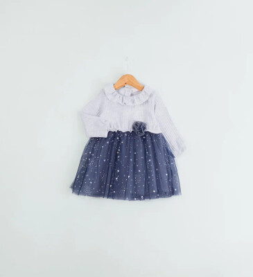 Wholesale Baby Girl Tirko Dress 6-18M BabyRose 1002-4712 - Babyrose (1)