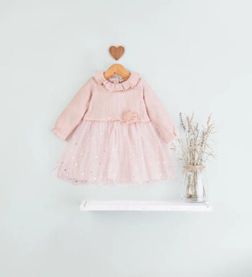 Wholesale Baby Girl Tirko Dress 6-18M BabyRose 1002-4712 Пудра