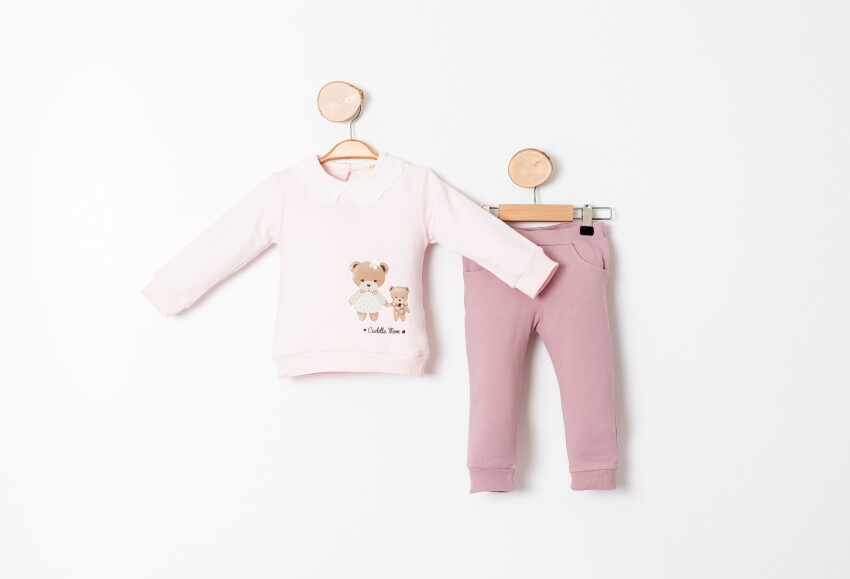 Wholesale Baby Girl Tracksuit 9-24M Sani 1068-10015 - 4