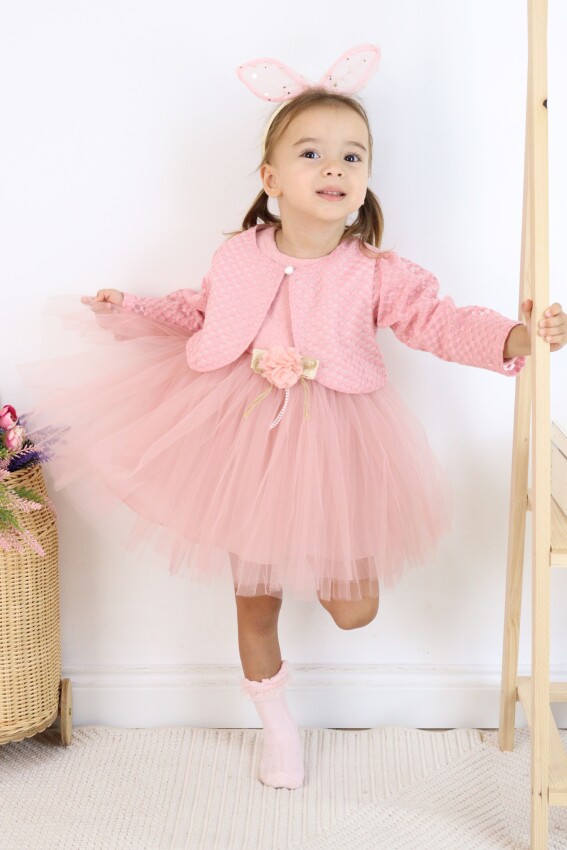 Wholesale Baby Girl Tulle Dress 6-24M Serkon Baby&Kids 1084-M0729 - 2