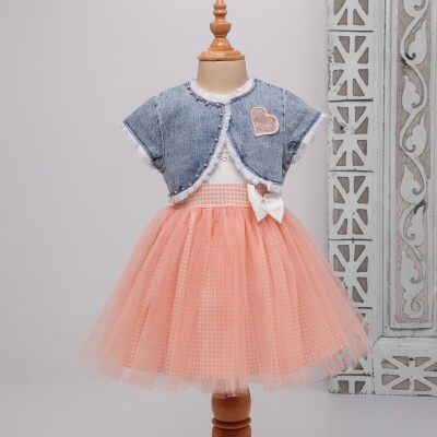 Wholesale Baby Girls 2-Piece Denim Jacket and Dress Set 9-24M Bombili 1004-6350 - 2