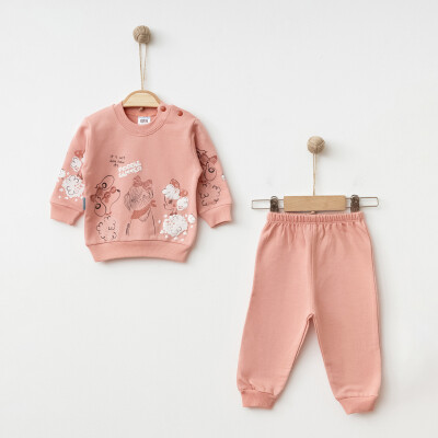 Wholesale Baby Girls 2-Piece Set 3-9M Hoppidik 2017-2367 - 3