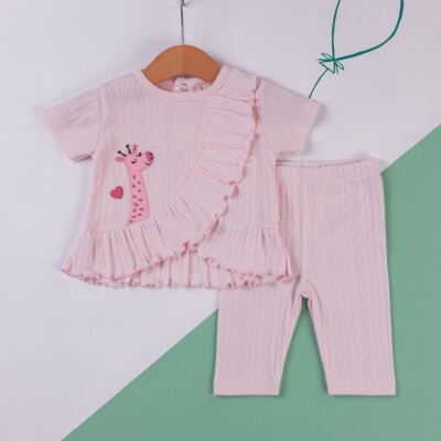 Wholesale Baby Girls 2-Piece T-shirt and Leggings Set 6-18M BabyZ 1097-5735 - BabyZ (1)