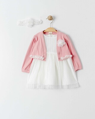 Wholesale Baby Girls 2-Pieces Jacket and Dress Set 9-24M Eray Kids 1044-13301 - 2