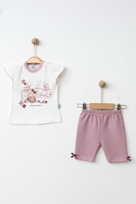 Wholesale Baby Girls 2-Pieces T-shirt and Short Set 3-9M Hoppidik 2017-2350 Пыльная роза