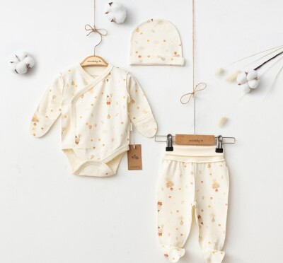 Wholesale Baby Girls 3-Piece Newborn Onesie Set 0-3M Ciccimbaby 1043-5043 - 1