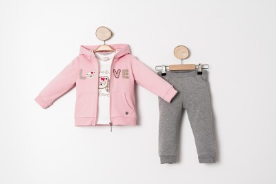 Wholesale Baby Girls 3-Piece Tracksuit Set 9-24M Sani 1068-10029 Розовый 