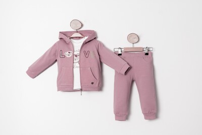 Wholesale Baby Girls 3-Piece Tracksuit Set 9-24M Sani 1068-10029 - 4