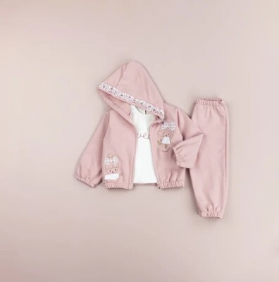Wholesale Baby Girls 3-Pieces Jacket, T.shirt and Pants Set 9-24M BabyRose 1002-7763 Пыльная роза