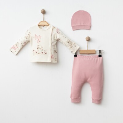 Wholesale Baby Girls 3-Pieces Newborn Set 0-3M Gümüş Baby 2043-005001 Пыльная роза