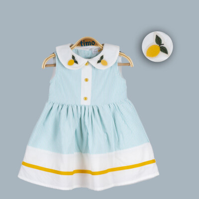 Wholesale Baby Girls Dress 6-24M Timo 1018-TK4DÜ042240541 Мятно-зеленый