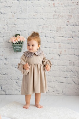 Wholesale Baby Girls Dress 6-48M Zeyland 1070-242M2DHG38 - Zeyland