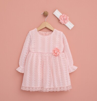 Wholesale Baby Girls Dress with Flower Detailed 6-18M Lilax 1049-6444 Пудра