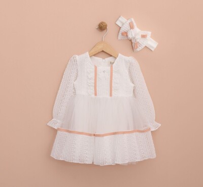 Wholesale Baby Girls Dress with Headband 6-18M Lilax 1049-6443 - 4