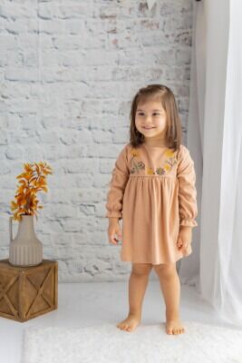 Wholesale Baby Girls Embroidered Dress 9-24M Zeyland 1070-232M2ALR36 - Zeyland