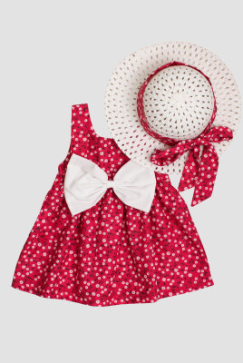 Wholesale Baby Girls Patterned Dress with Hat 6-24M Kidexs 1026-60173 - 3