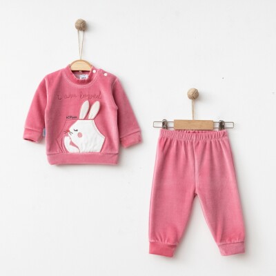 Wholesale Baby Girls Tracksuir Set 3-9M Hoppidik 2017-2383 - 2