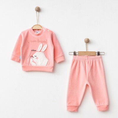 Wholesale Baby Girls Tracksuir Set 3-9M Hoppidik 2017-2383 - 4