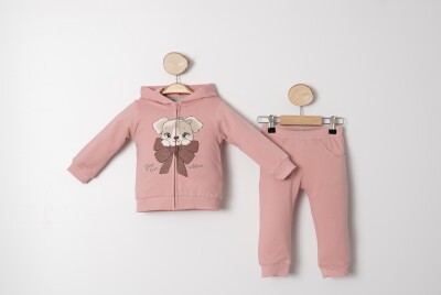 Wholesale Baby Girls Tracksuit Set 9-24M Sani 1068-10021 Sani 1068-10021 Розовый 