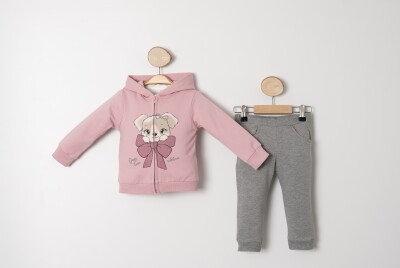 Wholesale Baby Girls Tracksuit Set 9-24M Sani 1068-10021 Sani 1068-10021 - Sani (1)