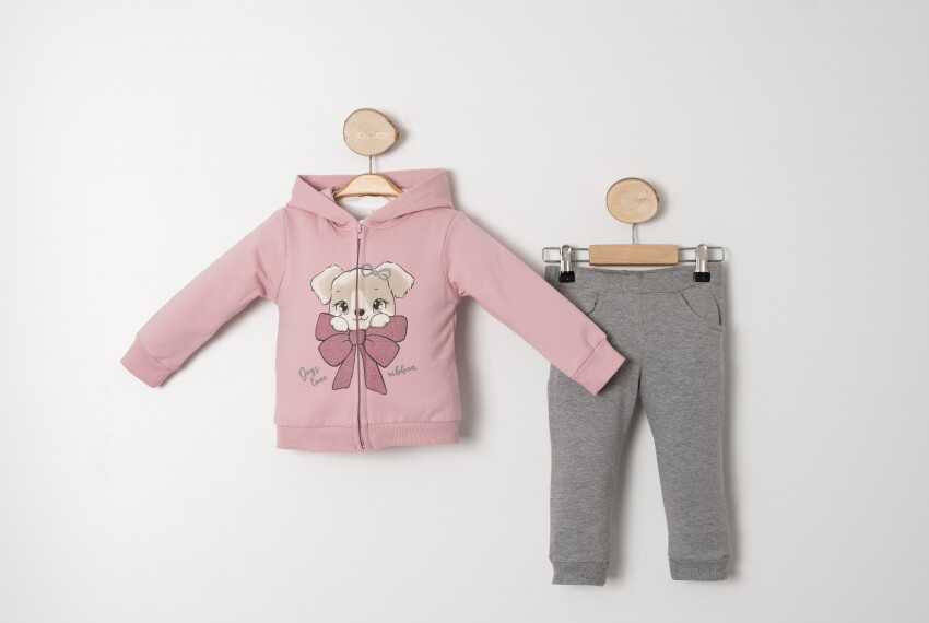 Wholesale Baby Girls Tracksuit Set 9-24M Sani 1068-10021 Sani 1068-10021 - 2